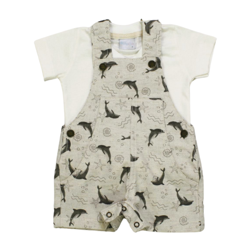 image_5fc32527-14c3-43b9-9de3-45103e2e3902