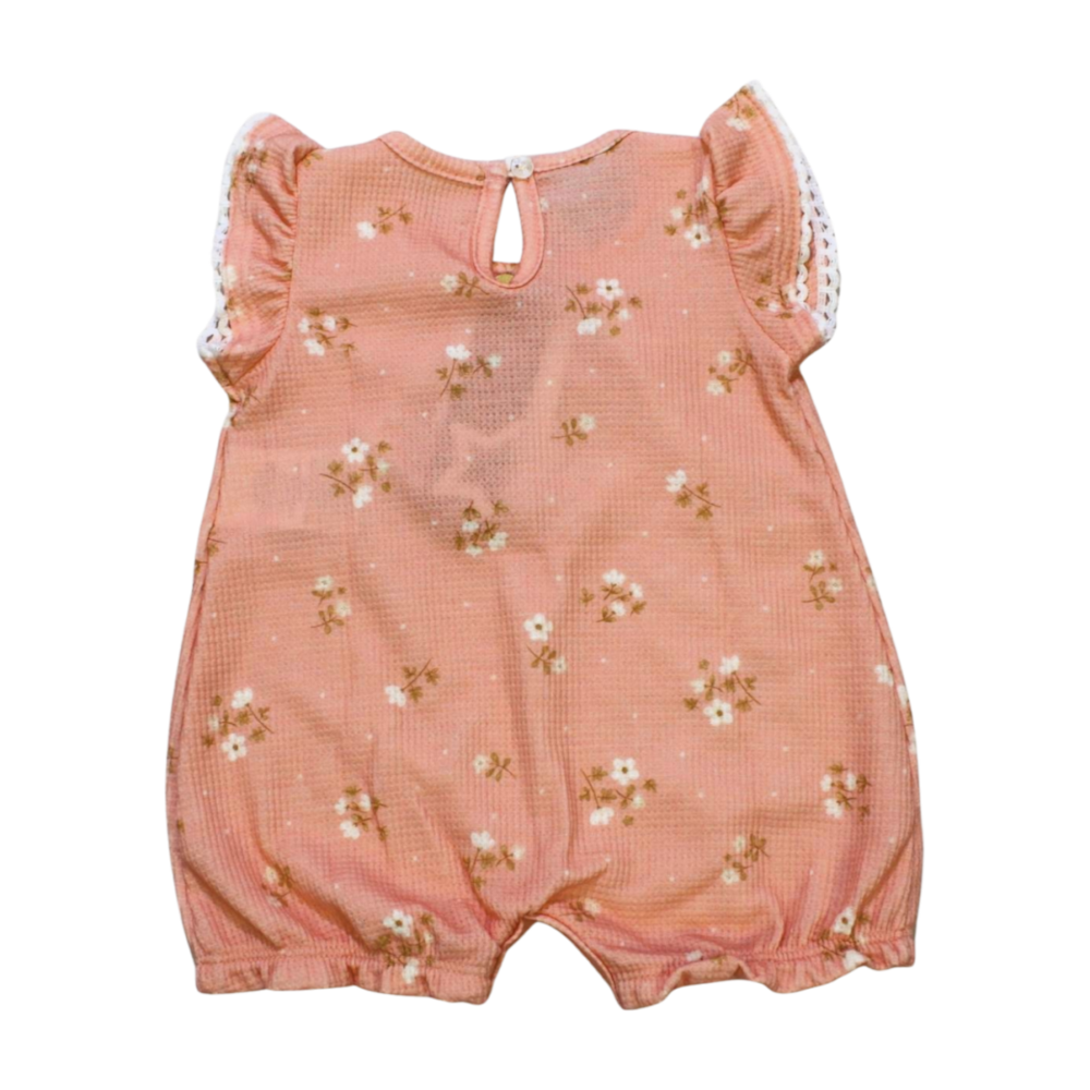 image_fa457347-f487-4e53-8603-f19a2b9412f2