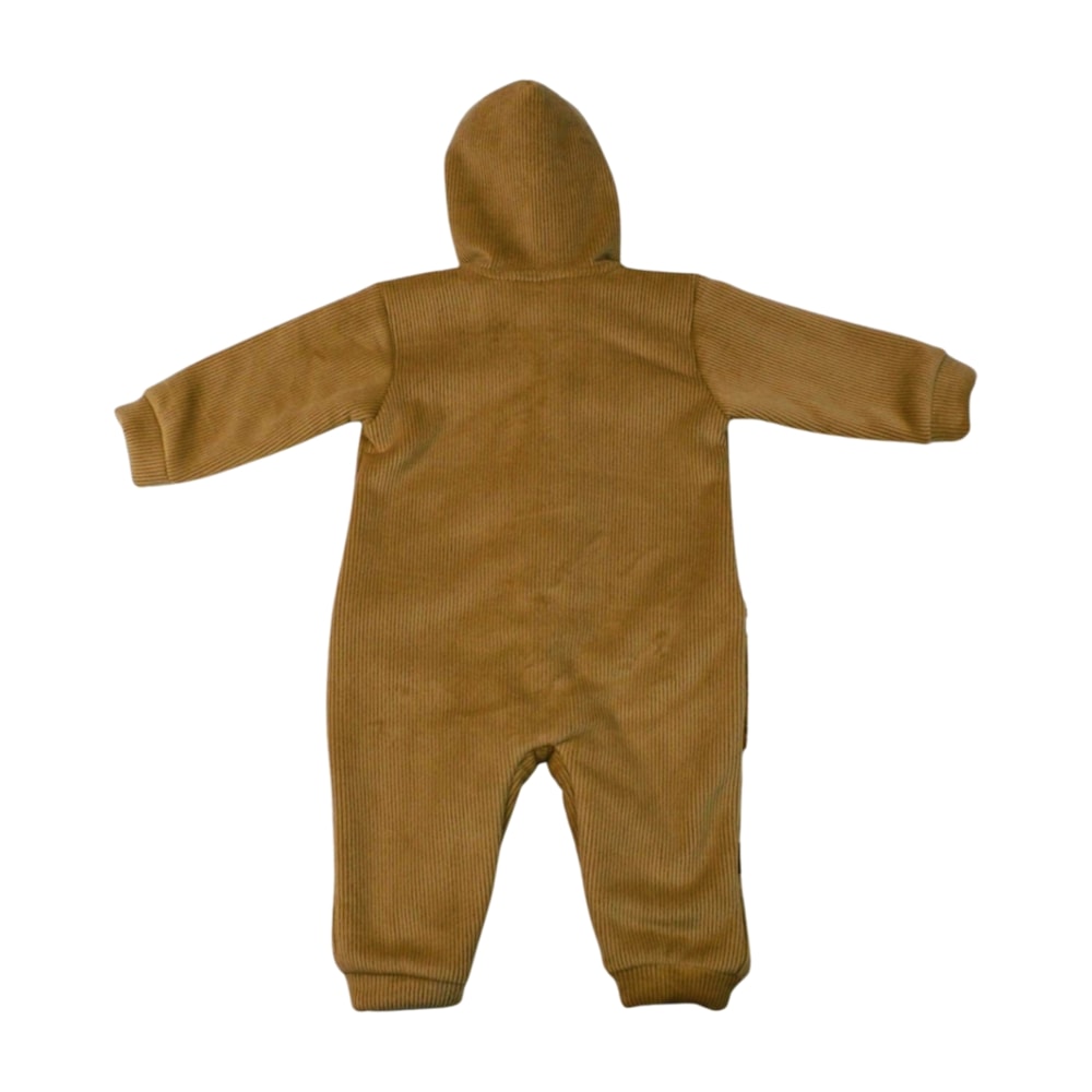 image_08e99ebd-6123-4eb0-ba4c-bfea60283f20