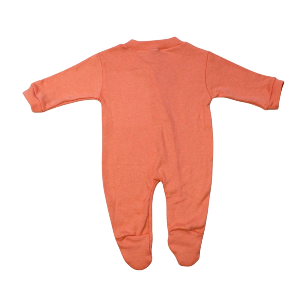 image_1f299a05-2a65-4ff4-bf07-4c86bdfc0a44