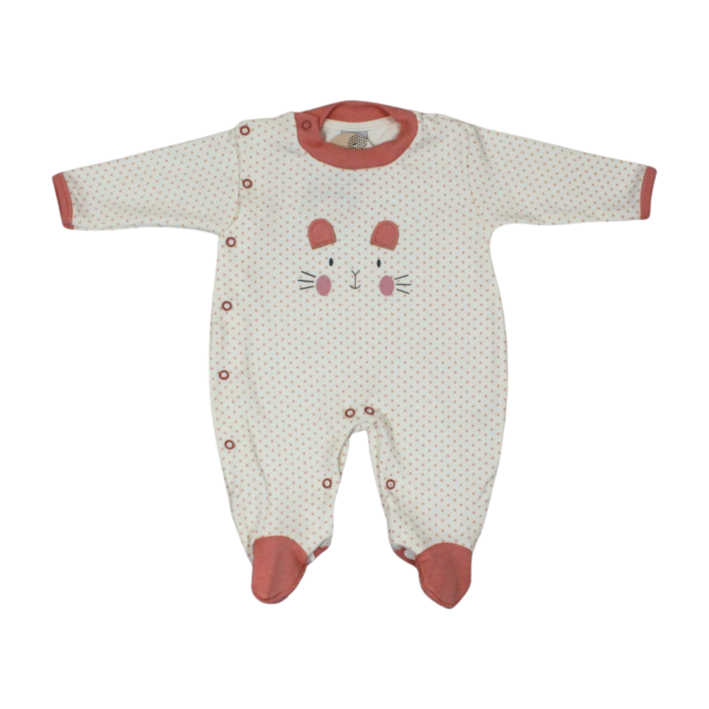 image_796ee241-d9e5-4fcd-a45e-5f9a62e56935