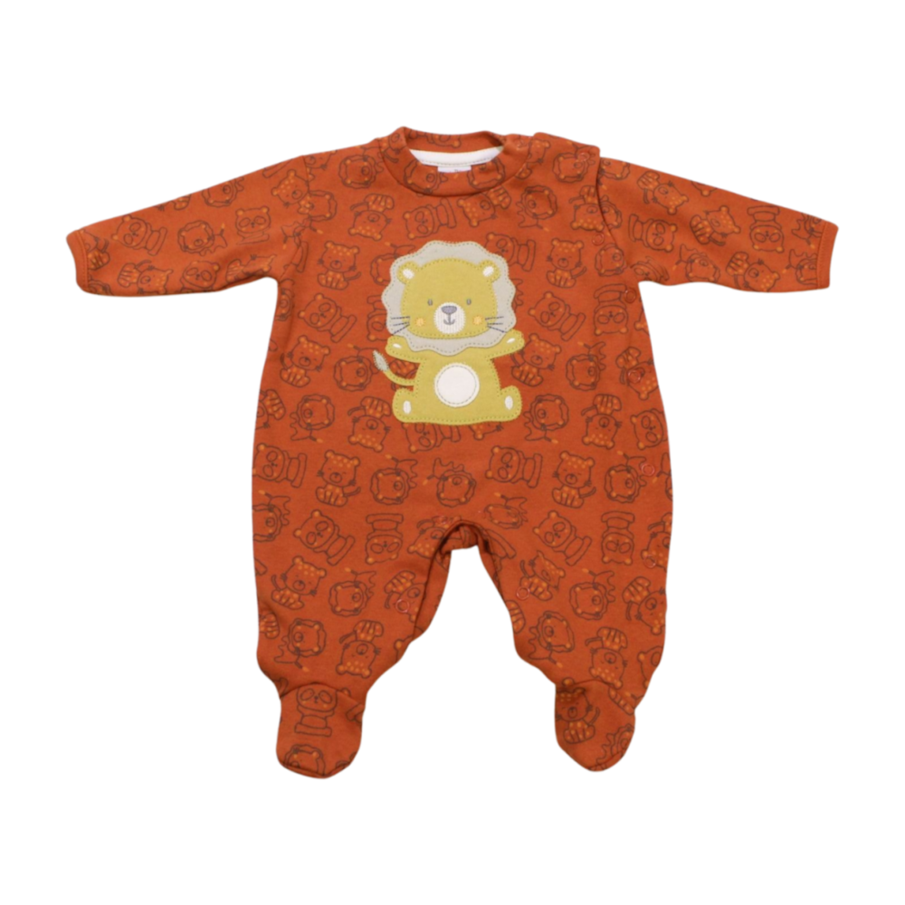 image_49452c26-a651-4283-a8bb-3003f42ce5ef