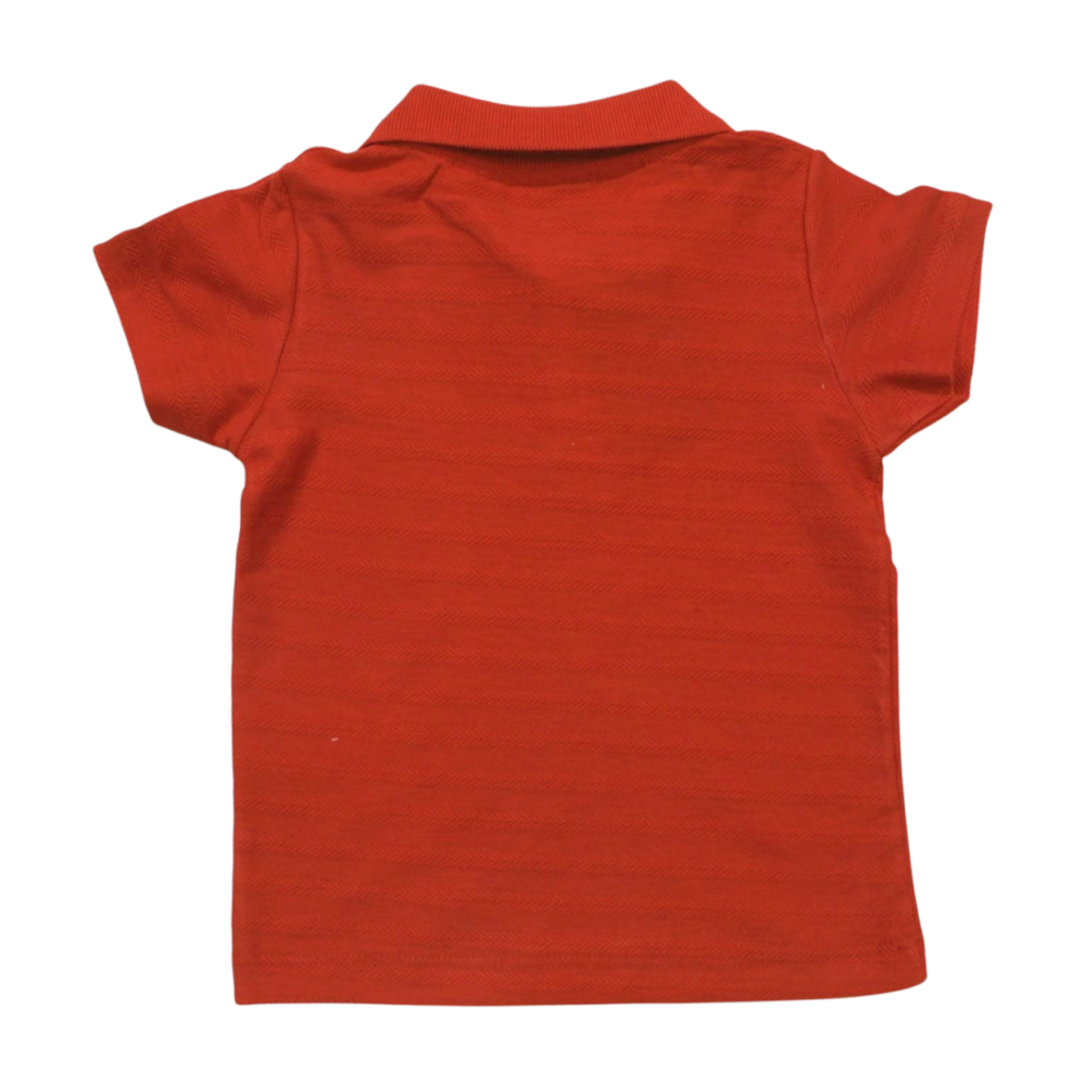 image_fd8dad81-ea94-4bef-84ec-58a9f9e4beb4