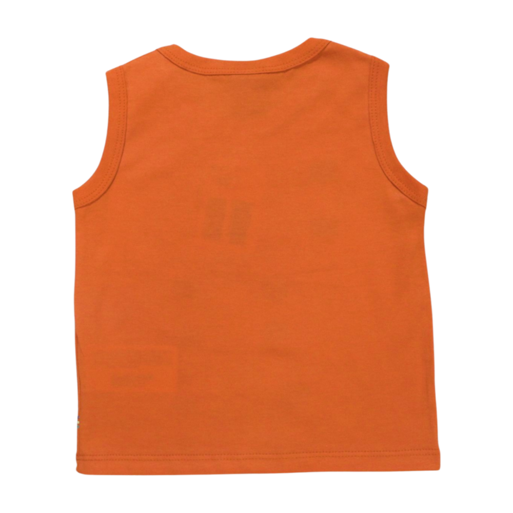 image_caeabd23-bc18-4149-9be0-55c93eec7b9a